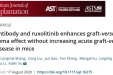 我院血液科在《American Journal of Transplantation》发表最新研究进展