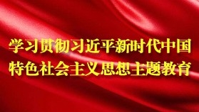 学习贯彻习近平新时代中国特色社会主义思想主题教育