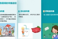 科普 | 动物系列之——羊的故事
