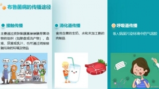 科普 | 动物系列之——羊的故事