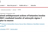 药学部在Molecular Psychiatry杂志发表最新研究成果